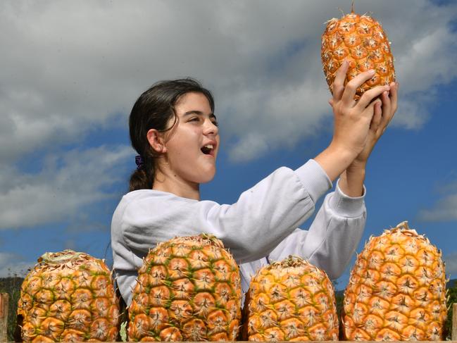 Alice McIntosh, 11, from MT Louisa, can't wait for this year's Rollingstone Pineapple Festival. Picture: Evan Morgan