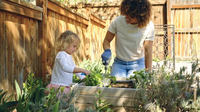 Growing your own herbs and veg is a clever and popular move. Image: iStock.