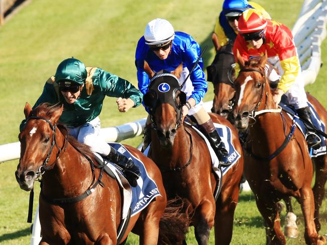 Capitalist ridden by Blake Shinn, wins the Golden Slipper during Golden Slipper day at Rosehill Races. pic Jenny Evans