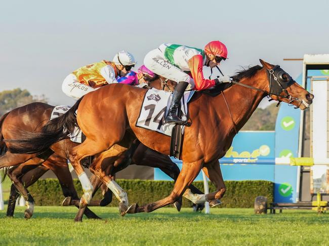 Le Ferrari ridden by Ben Allen wins the Thoroughbred Club of Australia Handicap at Sportsbet Sandown Hillside Racecourse on May 25, 2024 in Springvale, Australia. (Photo by Scott Barbour/Racing Photos via Getty Images)