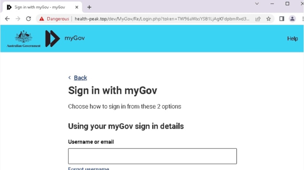 It asks readers to sign in to their account. Picture: MailGuard