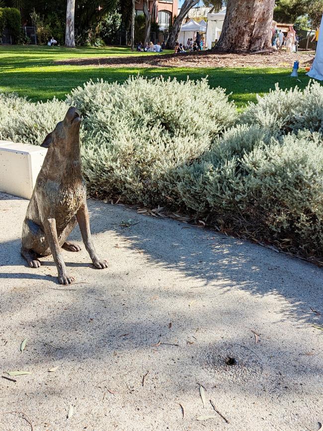 Dog, minus fork, at Stepney after theft. Picture: Darren Chaitman