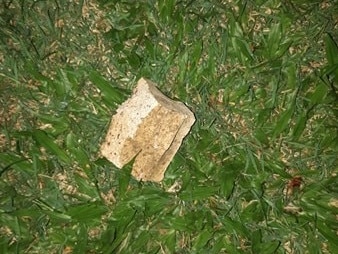 SOCIAL MEDIA IMAGE DISCUSS USE WITH YOUR EDITOR - The piece of  brick Kylie and her husband found after they heard a loud bang outside their Leichhardt house on Saturday night.