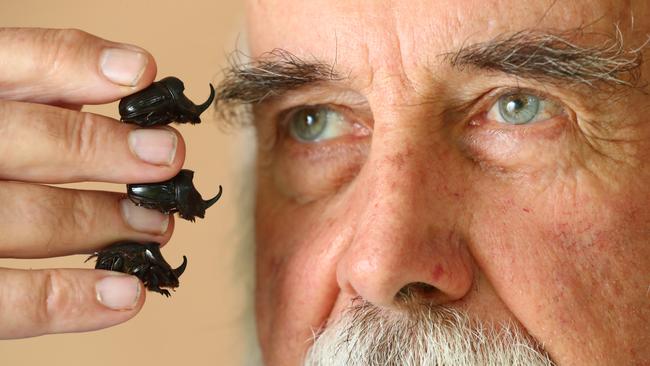 Bernard Doube is a leading advocate of the dung beetle in the battle against flies. Picture: Tait Schmaal.