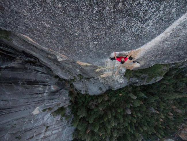 Alex Honnold El Capitan climb, Yosemite: Free solo legend medically ...