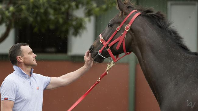 Mystic Journey has arrived in Melbourne in good order.