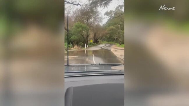 Flooding on Waterfall Gully Rd