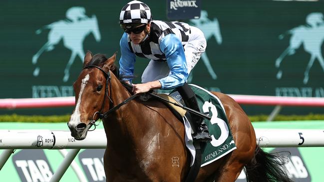 Bel Merci is on track for the Golden Slipper. Picture: Jeremy Ng / Getty Images.