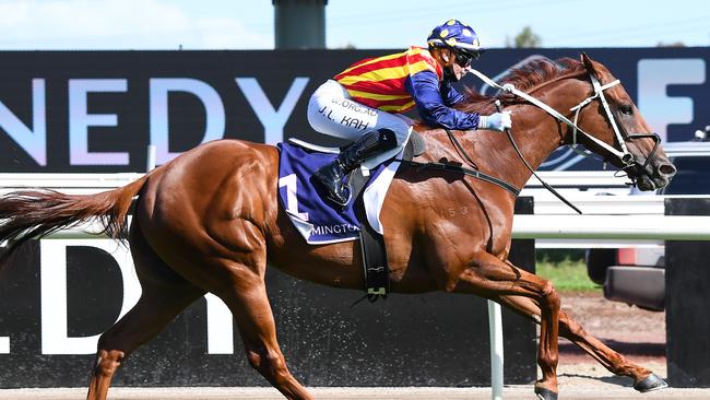 Mr Buckley’s breeding service produced Australian Horse of the Year Nature Strip. Picture: Getty Images