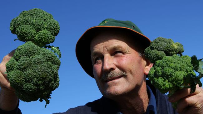 Luis Gazzola, who owns Gazzola Farms with Paul, Colin and Andrew Gazzola, at their Somerville property.