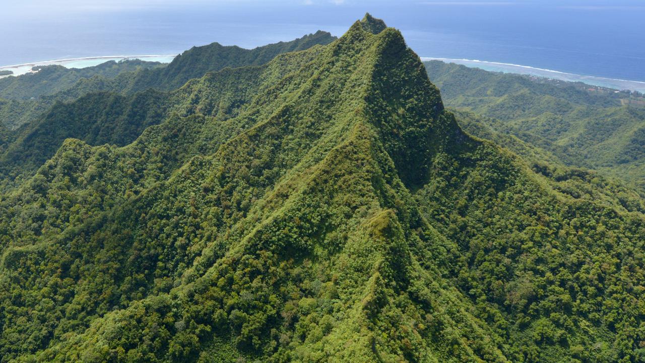 Inside the jungle that swamps Rarotonga.