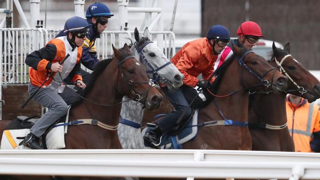 A little bit tardy but still a step in the right direction for Chautauqua. Picture: AAP.