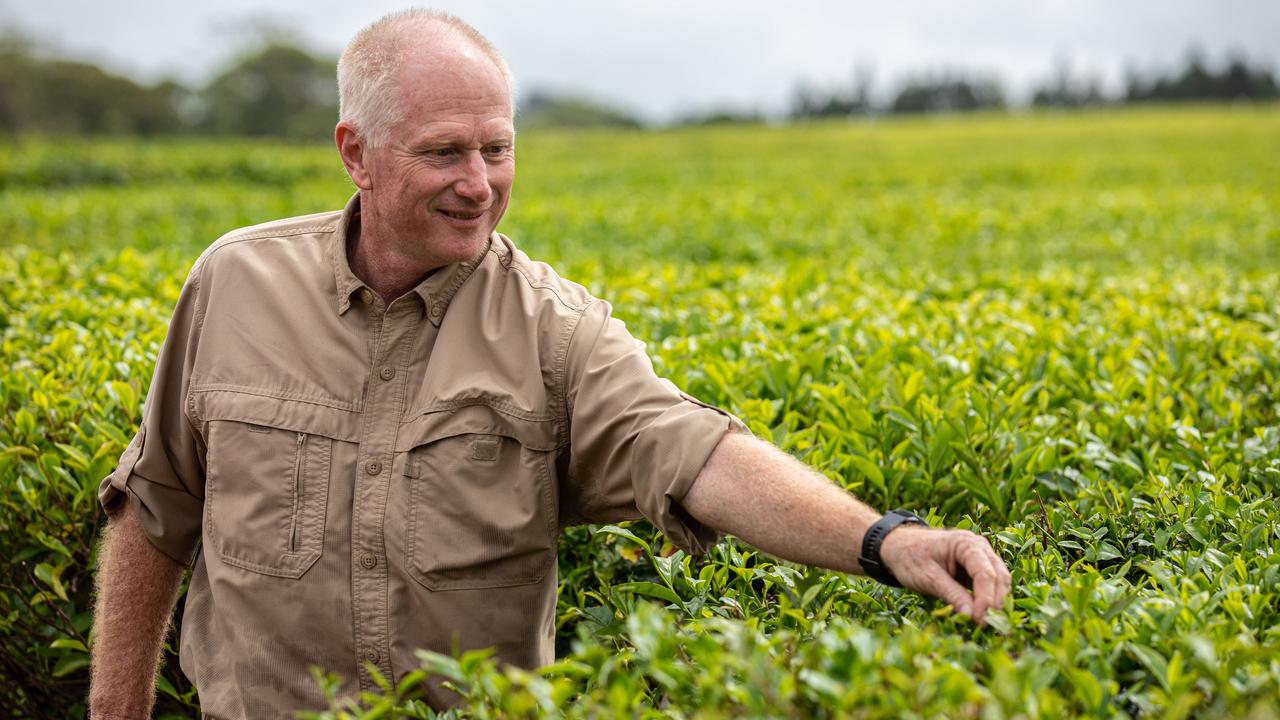 Nerada Tea chairman John Russell.