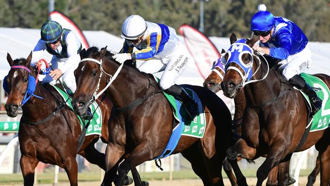 Happy Go Plucky, ridden by Stephanie Thornton, wins the Ipswich Cup. Picture: Grant Peters/Trackside Photography