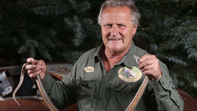 Snake Catchers Adelaide Owner Rolly Burrell holds an eastern brown snake at Mount Compass. Picture: Emma Brasier