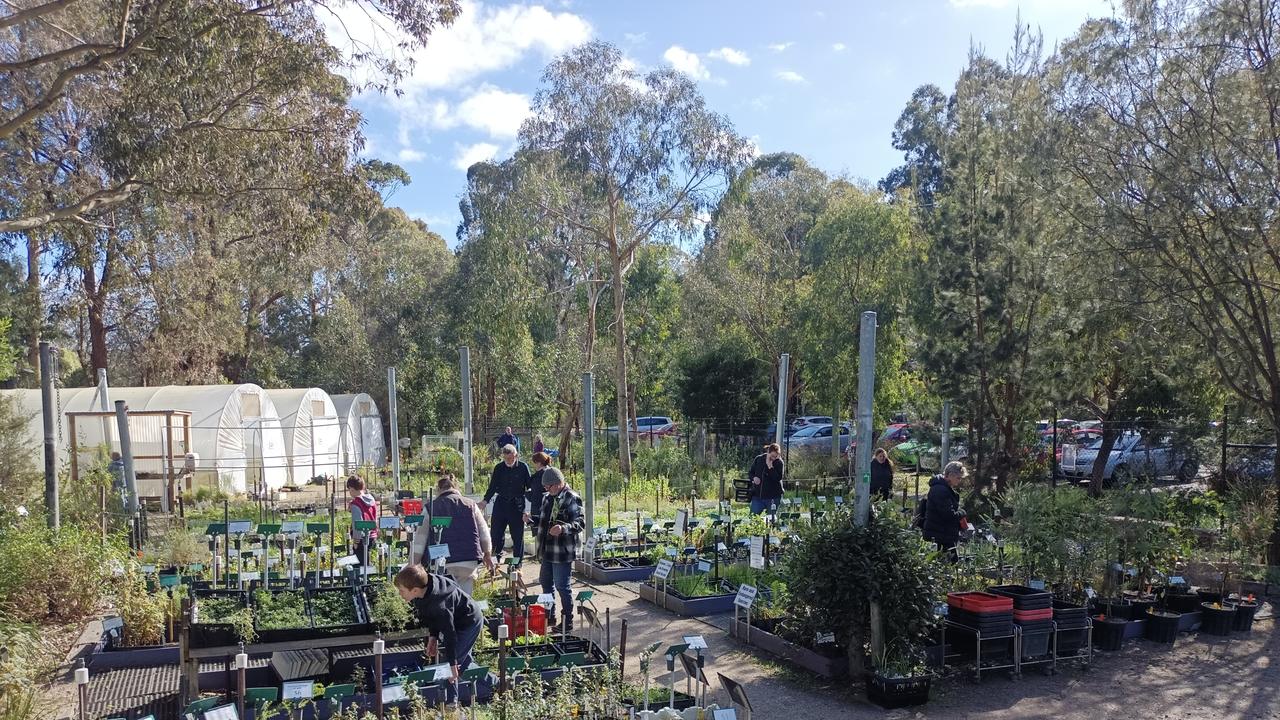 Knox Environment Society has resorted to selling seedlings and crowdfunding to fund its legal representation at VCAT.