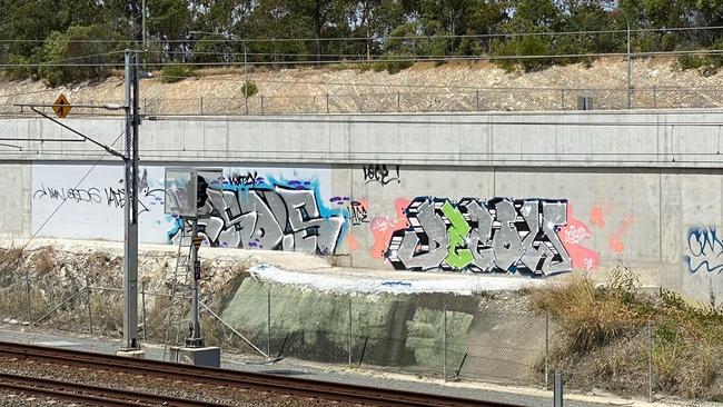 Graffiti covered railway between Robina and Varsity Lakes. Picture: Hermann Vorster