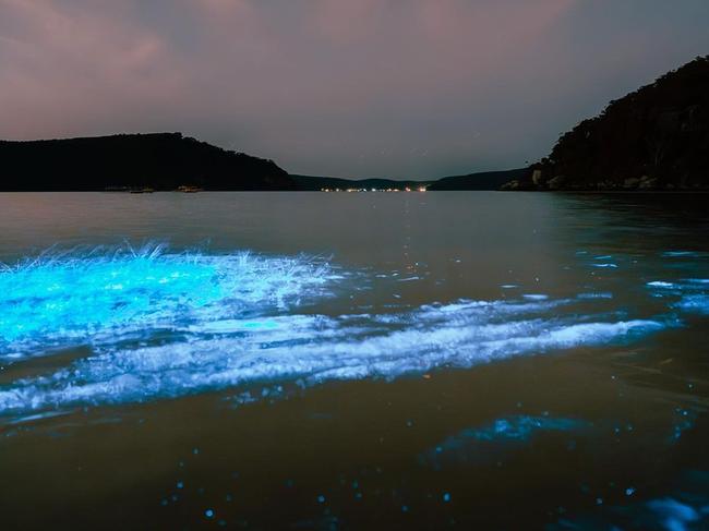 The ocean turned into a sparkling electric blue sight. Picture: Instagram/Jarvis Liu