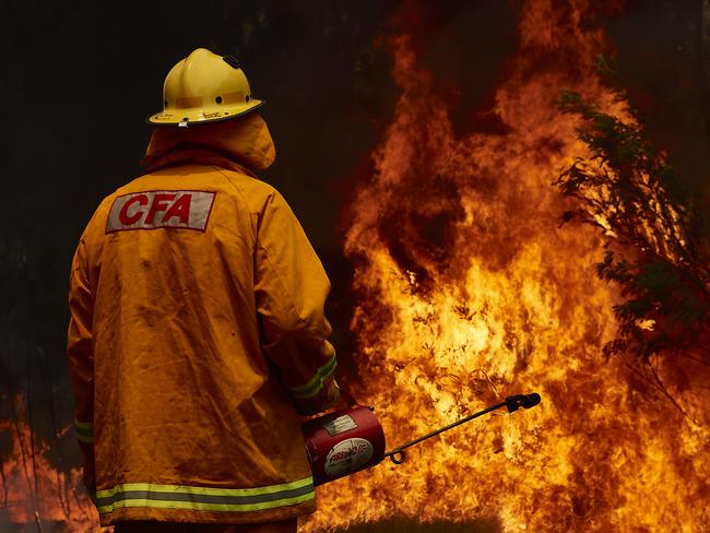 ***BESTPIX*** SYDNEY, AUSTRALIA - NOVEMBER 14: A CFA Member works on controlled back burns along Putty Road on November 14, 2019 in Sydney, Australia. Crews are working hard to gain the upper hand after devastating fires tore through areas near Colo Heights. Bushfires from the Gospers Mountain bushfire continue to burn. An estimated million hectares of land has been burned by bushfire following catastrophic fire conditions - the highest possible level of bushfire danger. While conditions have eased, fire crews remain on high alert as dozens of bushfires continue to burn. A state of emergency was declared by NSW Premier Gladys Berejiklian on Monday 11 November and is still in effect, giving emergency powers to Rural Fire Service Commissioner Shane Fitzsimmons and prohibiting fires across the state. (Photo by Brett Hemmings/Getty Images)