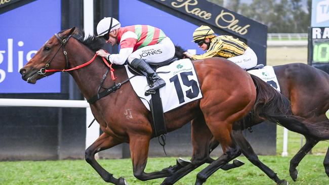 Dollar Magic is chasing another placing at Canterbury on Monday. Photo: Bradley Photos.