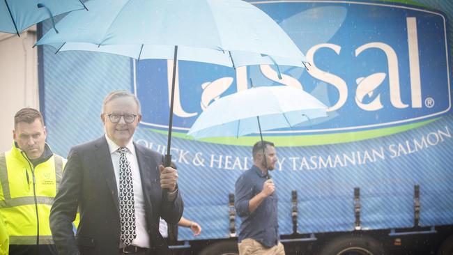 Anthony Albanese and Salmon Tasmania CEO Luke Martin tour the Tassal processing facility. Picture: Chris Kidd