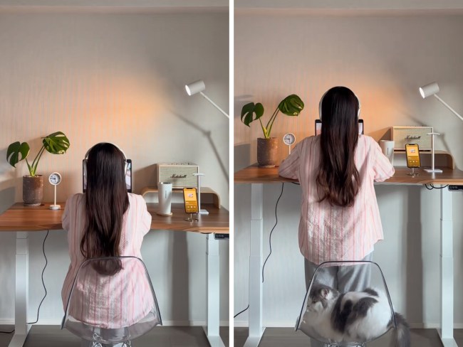 Upgrade your WFh set up with a FLEXISPOT Standing Desk. Picture: TikTok/@aya_1004_