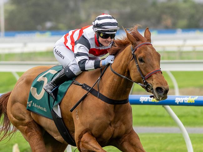 Annie's Rose scores at Morphettville on Saturday. Picture: Makoto Kaneko