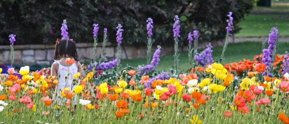 Toowoomba’s Carnival of Flowers is a major tourist attraction.