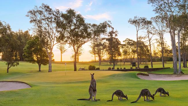 Port Macquarie Golf Club.