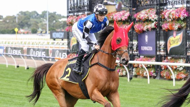 Consistent stayer Herman Hesse has a super chance to earn a deserved win at Caulfield on Saturday. Picture: Racing Photos via Getty Images