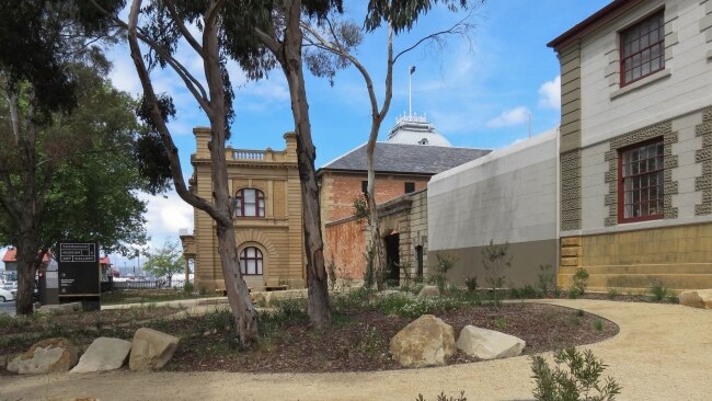 Native plants  outside the Tasmanian Museum and Art Gallery in Hobart. Picture: Kathryn Leahy