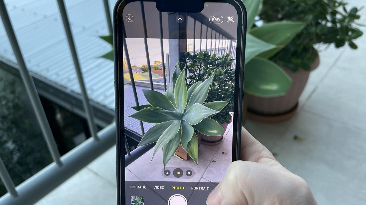 You can now find out the name of a plant on an iPhone. Picture: Elly Awesome