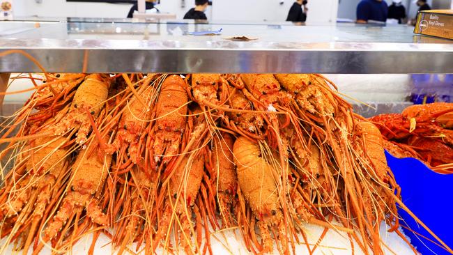 Australia’s lobster trade with China was worth hundreds of millions of dollars when it was banned by Beijing. Picture: Getty Images