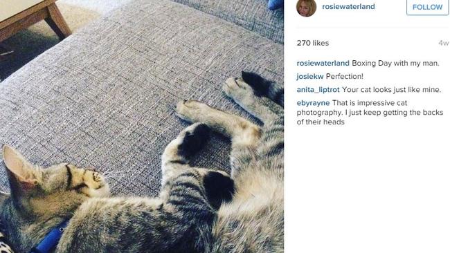 Australian writer Rosie Waterland and her cat Picture: Instagram