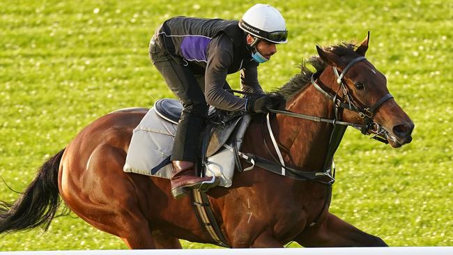 September Run is a great each-way bet in the Coolmore Stud Stakes. Picture: Getty Images