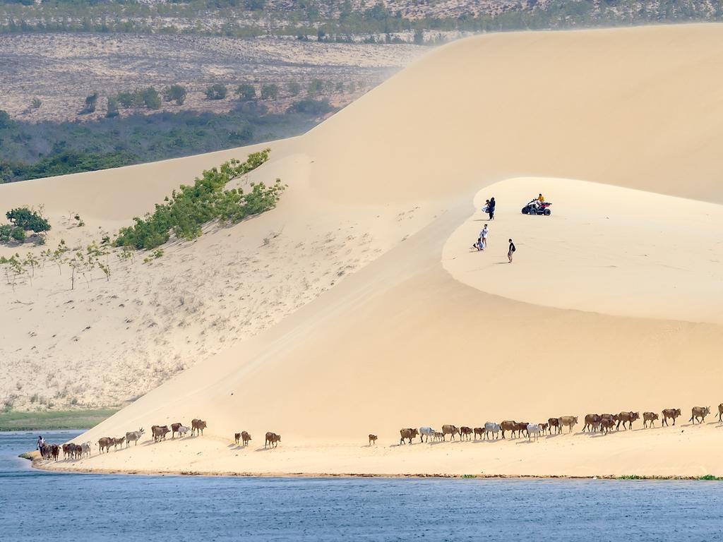 <p><b>MUI NE SAND DUNES:</b> Vietnam may be best known for its bustling cities, lush tropical forests and impressive coastline, but there’s also a patch of the country that’s more akin to the Sahara than typical South-East Asia. Mui Ne is a fishing village turned tourist icon thanks not only to its beach location and ideal kitesurfing conditions, but its extraordinary sand dunes.</p>