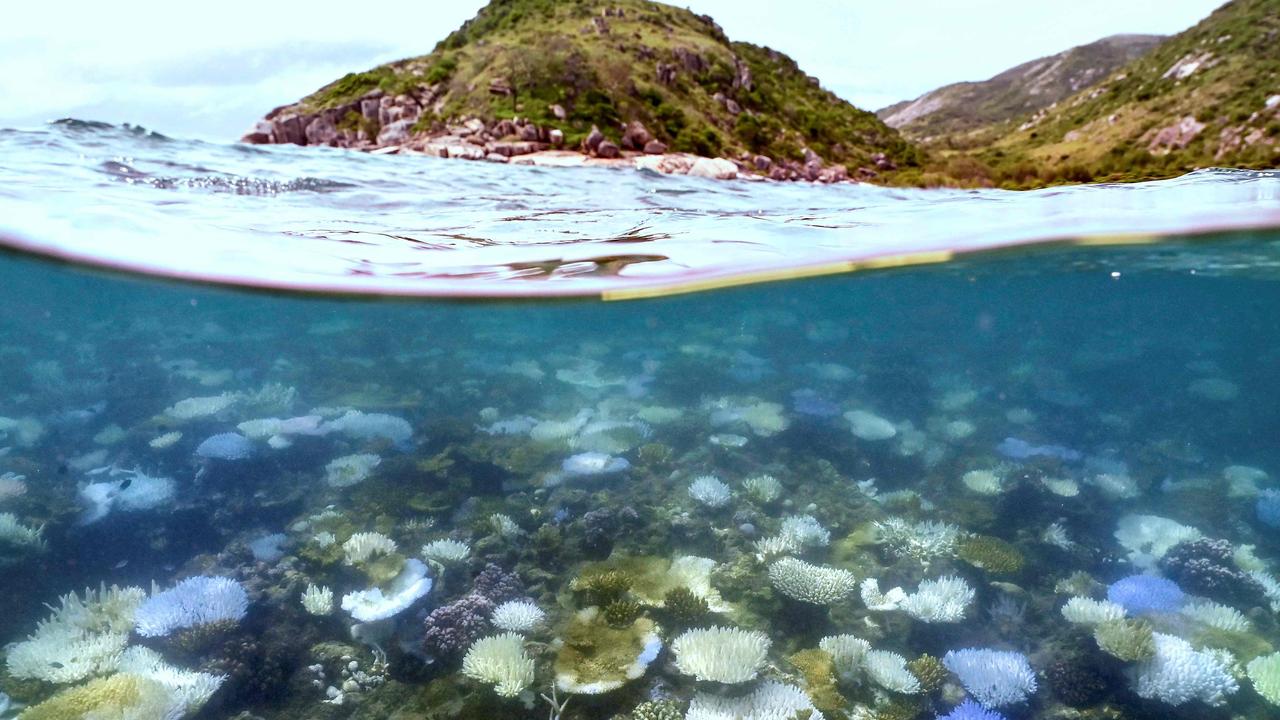 Great Barrier Reef summer snapshot shows widespread coral bleaching ...