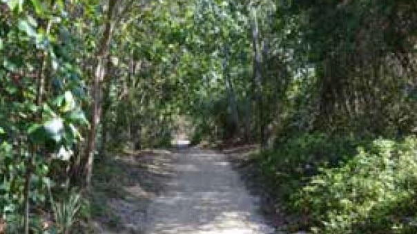 Federation Walk on The Spit at the Gold Coast - about to have a rainforest irrigation system.