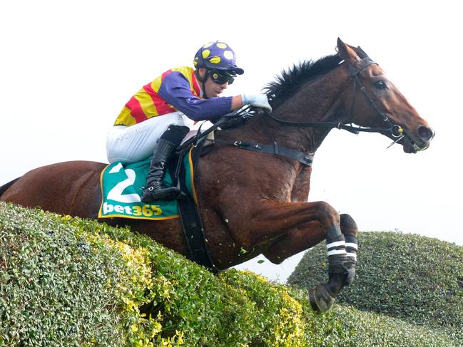 Elvison ridden by Aaron Kuru jumps on the way to winning the Ecycle Two Rivers Steeplechase at Casterton Racecourse on May 19, 2024 in Casterton, Australia. (Brett Holburt/Racing Photos via Getty Images)