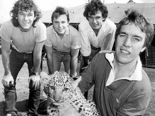 Cold Chisel band members pose with a young cheetah in Sydney in 1982. Picture: News Ltd