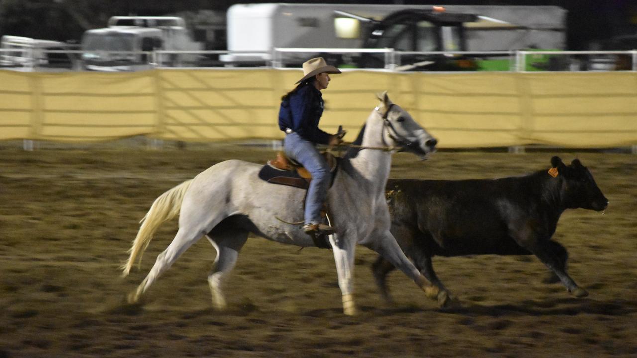 Friday night campdraft