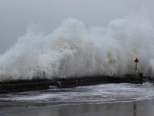 Action...The future looks grim if we don’t act now said scientists. Picture: Jesse Holt.