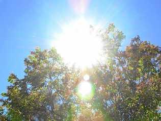 WARMTH: Sunshine Coast residents are expected to enjoy sunny weather today. Picture: Michael Nolan