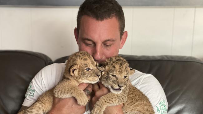 Zookeeper Chad Staples was the primary carer for lioness Zuri’s two surviving cubs.