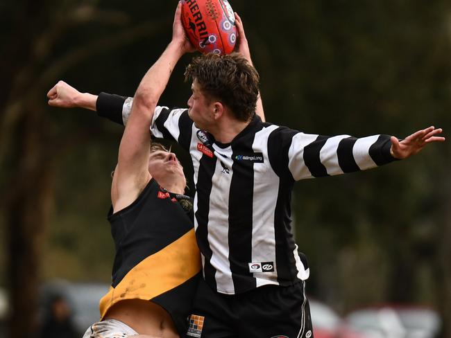 Heidelberg's Josh Minogue takes a strong mark. Picture: Nathan McNeill