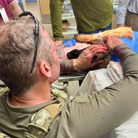 Rocky’s handler never left his side. Picture: US Marshals Service