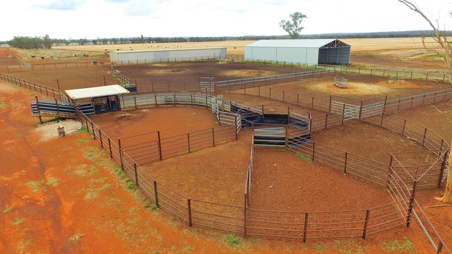 Stockyards at Dalkeith Station, in the Flinton/Teelba region east of St George.