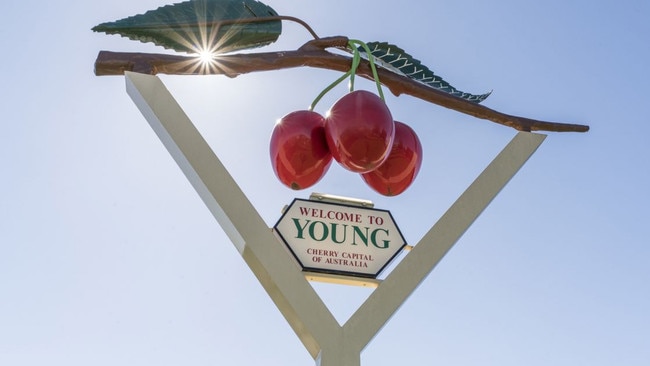 Young is the cherry capital of Australia. Picture: Destination NSW