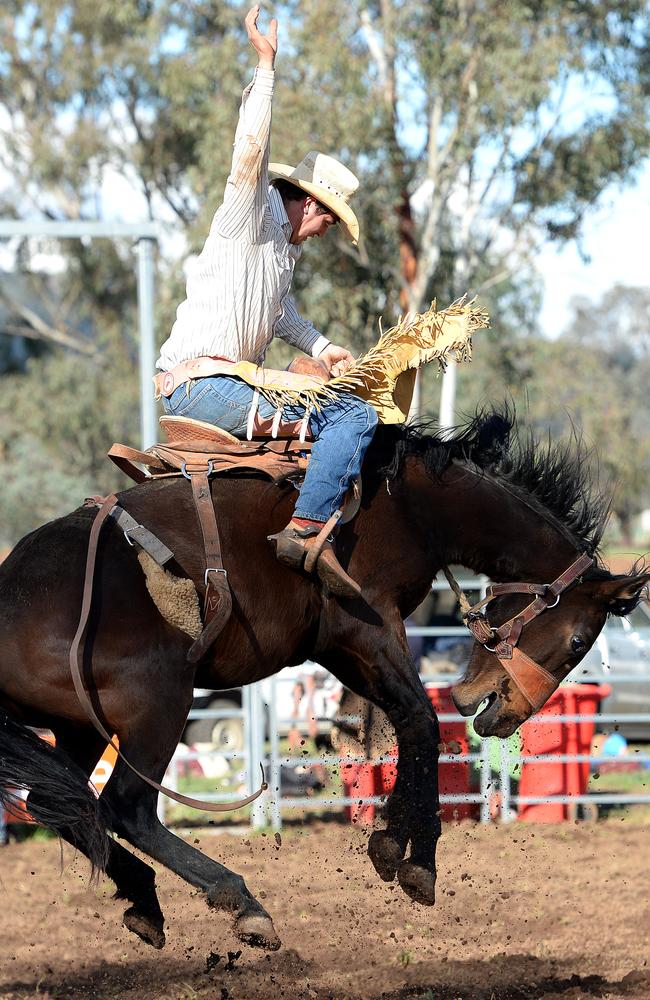 Lincoln Smith, 21, in full flight at the Saddle Bronc Riding School in Attunga. Picture Peter Lorimer