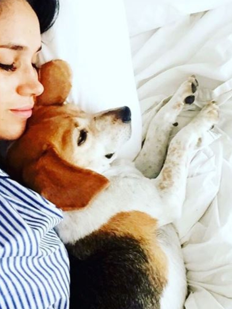 Meghan napping with Guy.